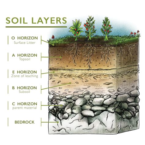 dating soil layers
